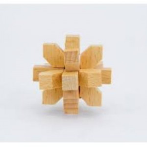 Star IQ-Test Wooden Puzzle