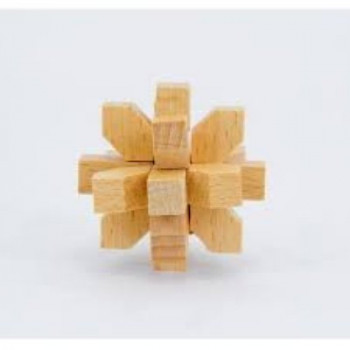 Star IQ-Test Wooden Puzzle