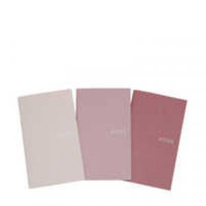 Pink Tones - Pocket Notebook Set