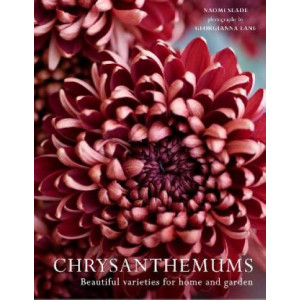 Chrysanthemums: Beautiful varieties for home and garden