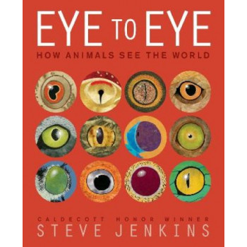 Eye to Eye/How Animals See the World: How Animals See the World