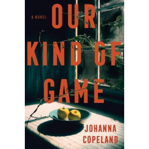 Our Kind of Game: A Novel