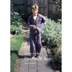 Excitable Boy: Essays on Risk