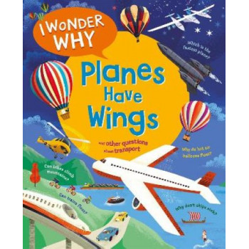 I Wonder Why Planes Have Wings: And other questions about transport