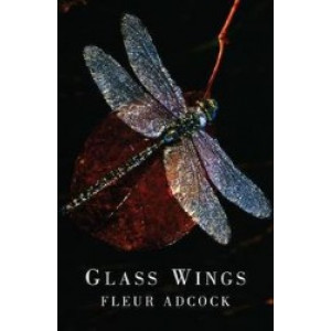 Glass Wings