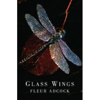 Glass Wings