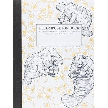 Decomposition - Notebook - Ruled - Large - Manatea