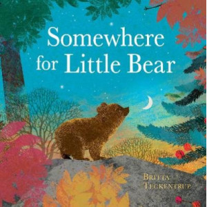 Somewhere for Little Bear