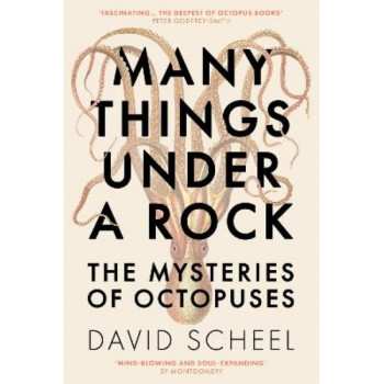 Many Things Under a Rock: The Mysteries of Octopuses