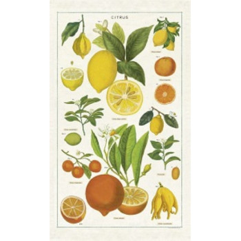 Citrus Tea Towel - Cavallini & Co