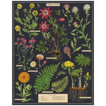 Herbarium 1000 Piece Vintage Jigsaw Puzzle by Cavallini