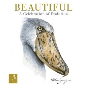 Beautiful: A Celebration of Evolution