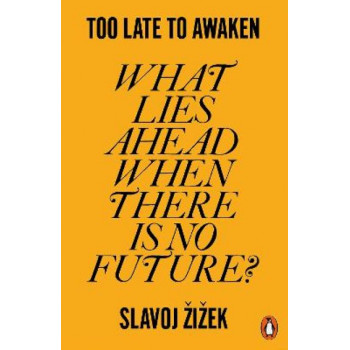 Too Late to Awaken: What Lies Ahead When There is No Future?