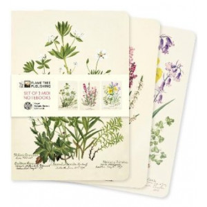 Royal Botanic Garden Edinburgh Set of 3 Midi Notebooks