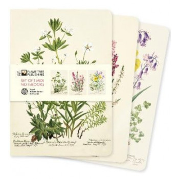 Flame Tree Journals - Royal Botanic Garden Edinburgh Set of 3 Midi Notebooks