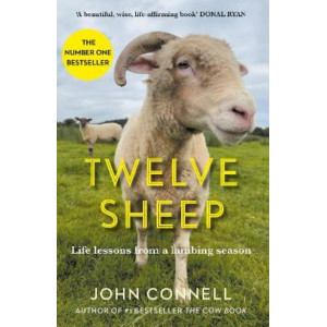 Twelve Sheep: Life lessons from a lambing season