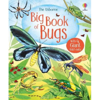 BIG BOOK OF BUGS