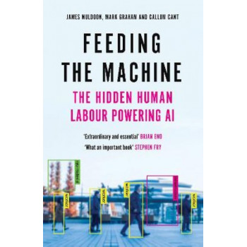 Feeding the Machine: The Hidden Human Labour Powering AI