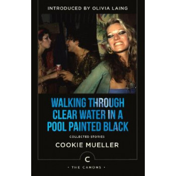 Walking Through Clear Water In a Pool Painted Black: Collected Stories