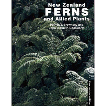 New Zealand Ferns and Allied Plants