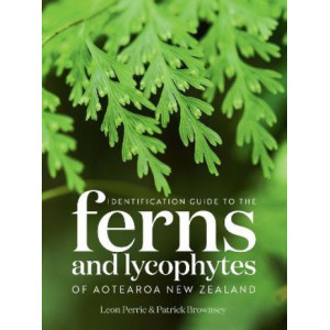 Identification Guide to the Ferns and Lycophytes of Aotearoa NZ