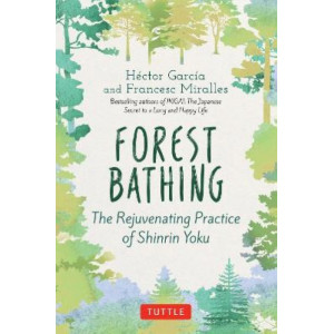 Forest Bathing: The Rejuvenating Practice of Shinrin Yoku